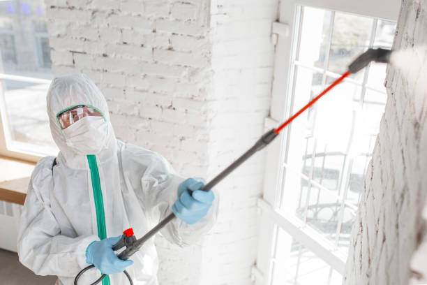 Best Residential Mold Inspection & Testing  in Crowley, TX