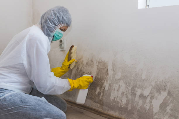Best Airborne Mold Testing  in Crowley, TX