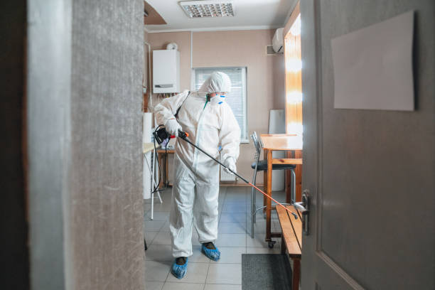 Biohazard Mold Removal in Crowley, TX