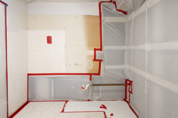 Best Air Quality Testing for Mold Spores  in Crowley, TX