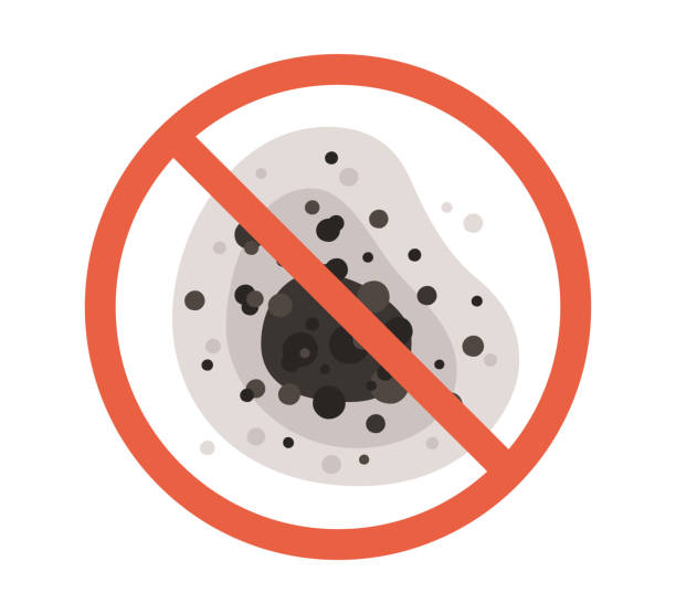 Best Indoor Air Quality Assessment  in Crowley, TX
