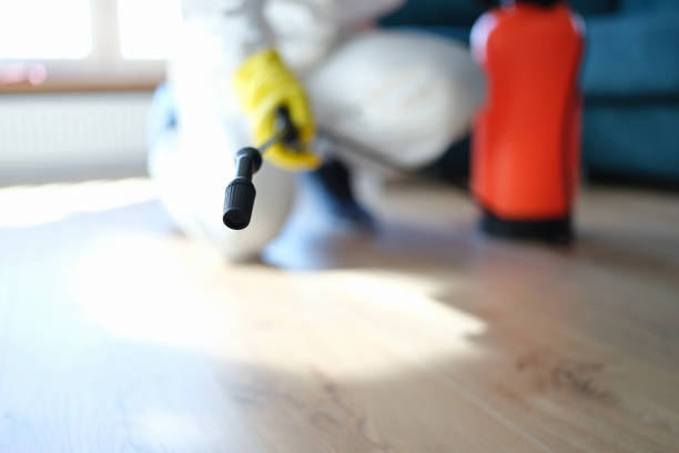 Best Commercial Mold Inspection  in Crowley, TX