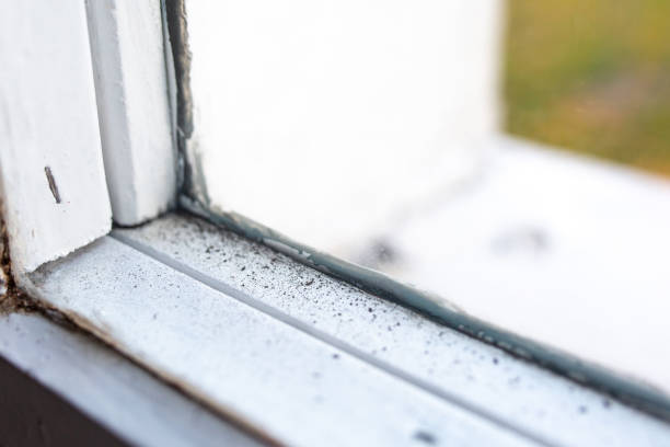 Best Mold Odor Removal Services  in Crowley, TX