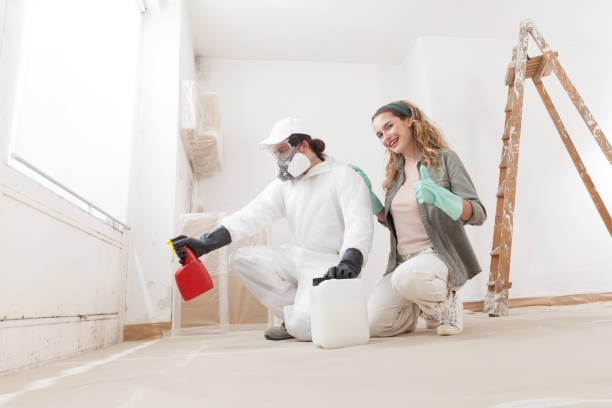 Best Post-Remediation Verification Testing  in Crowley, TX