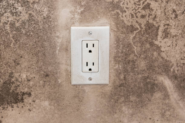 Best Post-Construction Mold Inspection  in Crowley, TX